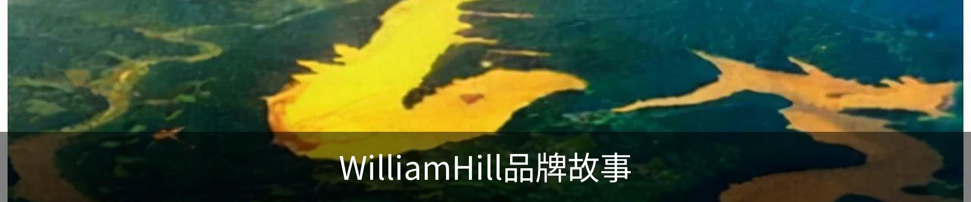 WilliamHill品牌故事